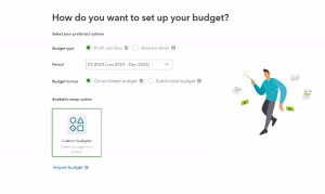 Profit and Loss budgeting